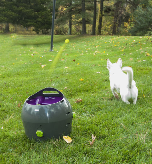 PetSafe Automatic Ball Launcher Slash Pets petsafe automatic ball launcher