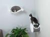 kitty pass wall tunnel