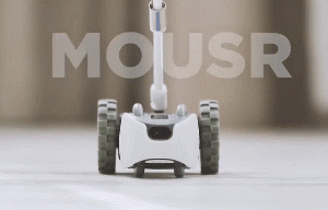 petronics mousr robotic cat toy