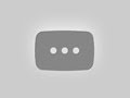 CatchCats : Interactive cat fishing toy