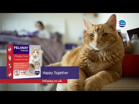 How to use a FELIWAY FRIENDS Diffuser