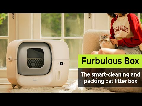 Furbulous｜How Does Furbulous Box Work?