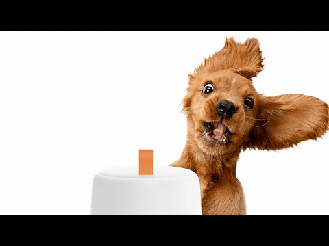 eufy Pet 2021 New Product Launch