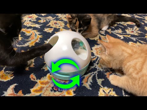 PETGEEK Hiding Mouse Interactive Motorized Cat Toy 🐈 Gadgetify