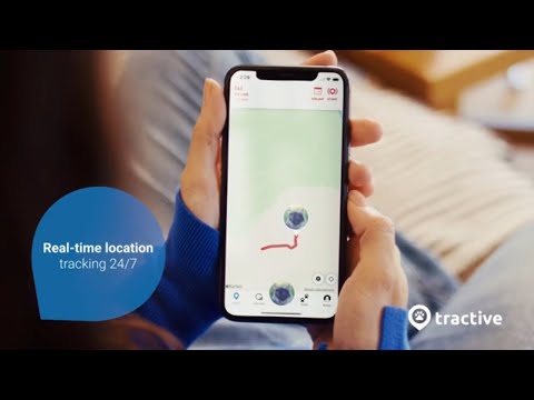 Always Know Where Your Cat Is - Tractive GPS Cat Tracker &amp; Collar