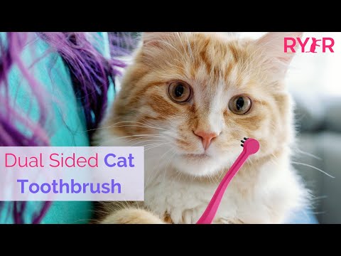 RYERCAT Indiegogo Campaign: The Dual Sided Cat Toothbrush