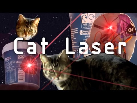 Arduino Cat Laser