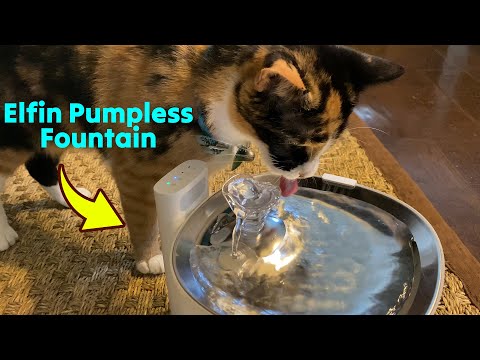 Elfin Fountain: Smart Pumpless Cat Fountain Tested 🐈 Gadgetify
