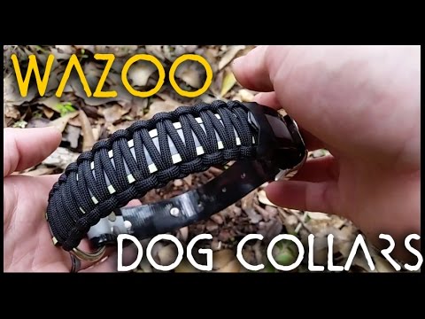 Paracord Dog Collar Survival Kit - Upgrade your canine with Wazoo