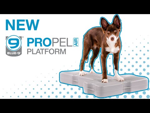 NEW Propel Air Platform | Inflatable, Connectable, Canine Fitness Equipment Made in the USA