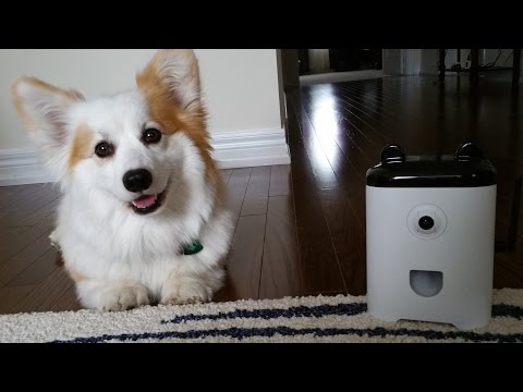 PetBot - Best Friends. Connected.