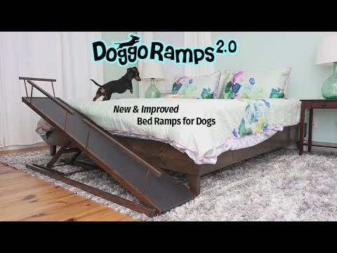 DoggoRamps 2.0 - The BEST Bed Ramp for Small Dogs!