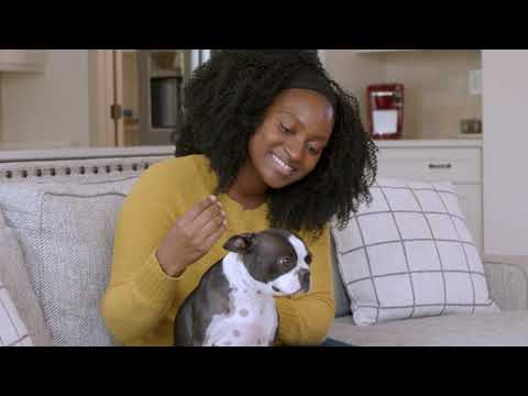 PetSafe® CozyUp™ Sofa Ramp for Pets