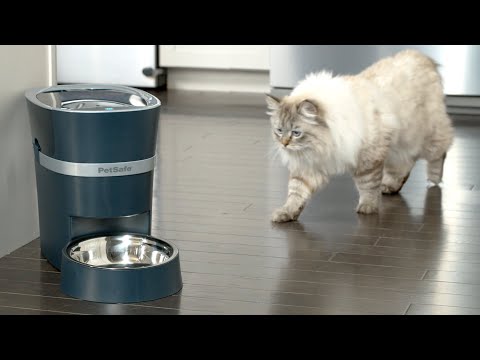 Feed Your Pet from Your Phone - PetSafe® Smart Feeder