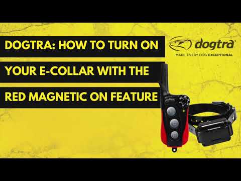 DOGTRA: HOW TO TURN ON A E-COLLAR WITH A MAGENTIC ON FEATURE | iQ PLUS | iQ MINI | 200C