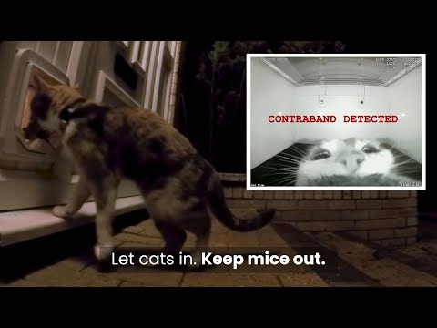 OnlyCat® - Let cats in. Keep mice out.