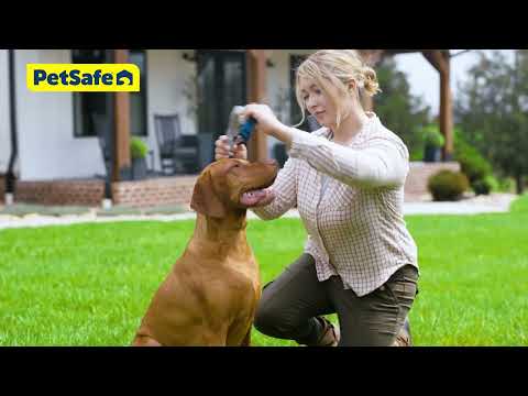 When Seconds Count, Trust PetSafe® Guardian® GPS + Tracking Dog Fence