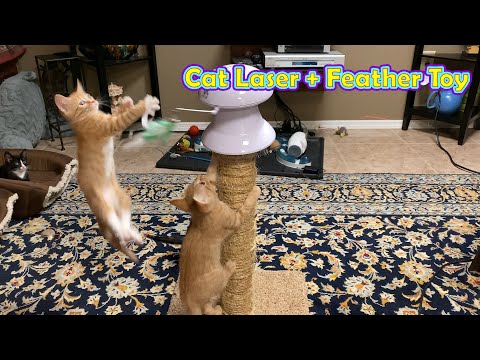 PetNF Interactive Laser Feather Cat Toy Tested 🐈 RadFelines