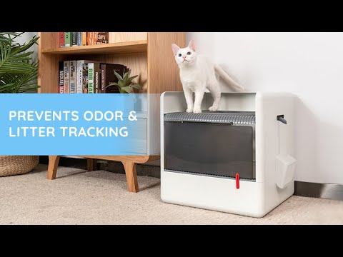 Poop Cube | A Minimalist Litter Box Prevents Litter Tracking
