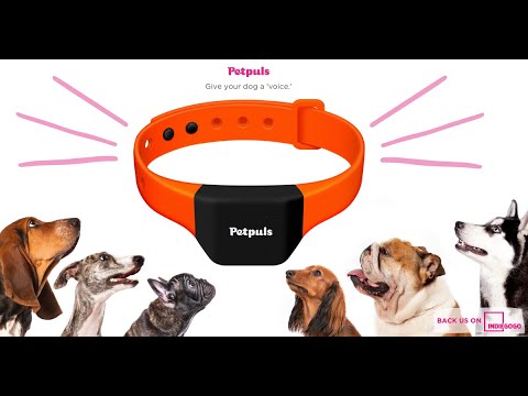 Petpuls Smart Collar: Give Your Dog a &#039;Voice&#039;