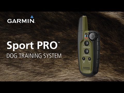 Sport PRO: The Dog Training System You can Operate with One Hand