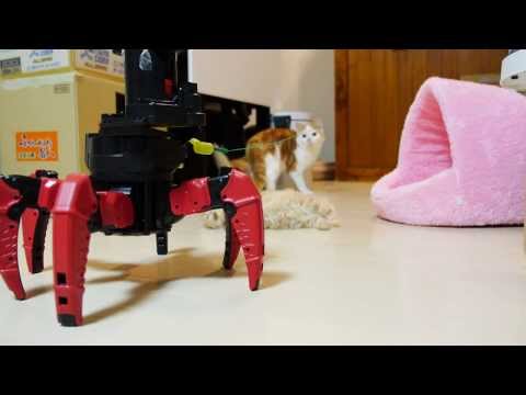 【マンチカンズ】マンチカンの子猫と六足歩行ロボット ~ kittens VS combat creatures ~