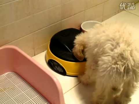 Automatic Pet Feeder