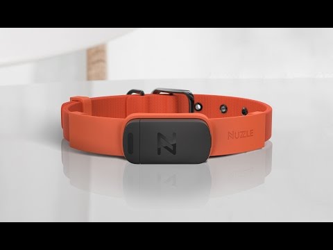 Introducing Nuzzle, The Most Reliable GPS Pet Collar
