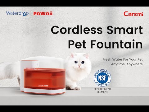 Caremi: Mobile Smart Pet Fountain