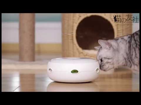 猫じゃらシッター　～新しいワクワクを君に～