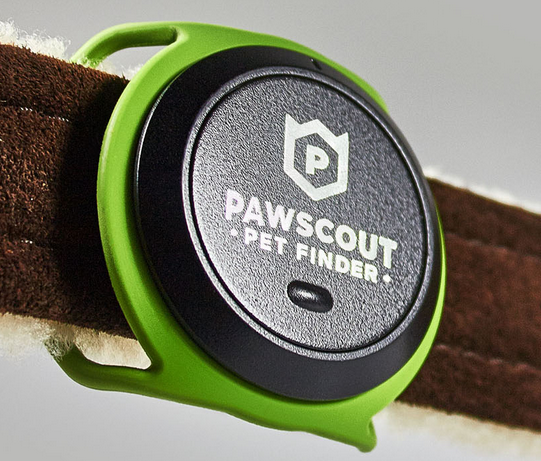 pawscout