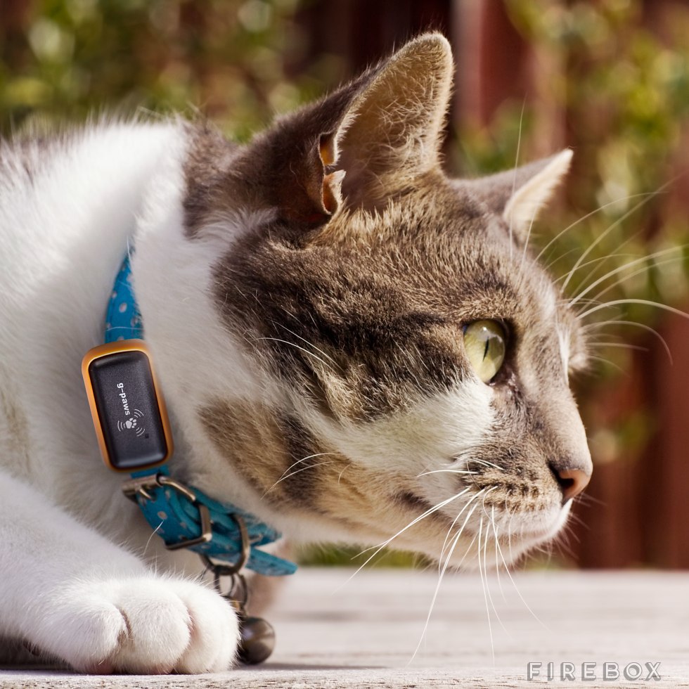 track your cat gps