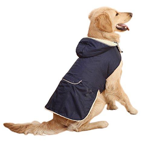 dog coat