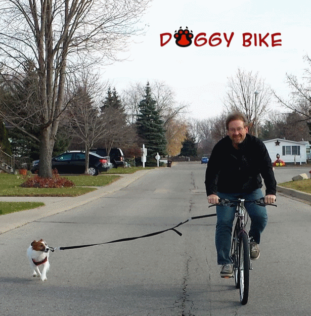 doggy bike