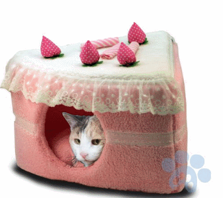 cake cat bed