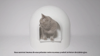 Igloo Cat Litter Box