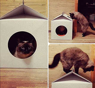MilkBox Cat House