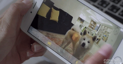 Furbo Pet Treat Dog Camera