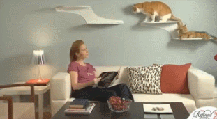 Refined Feline Cat Cloud Shelves
