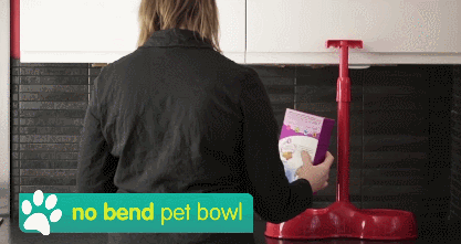 no bend pet bowl