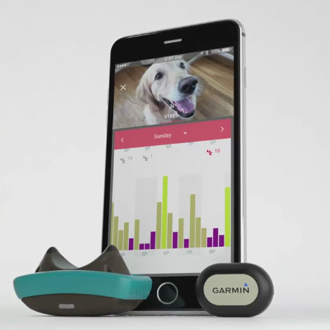 Garmin Delta Smart Dog Training Device - Slash Pets