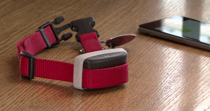 garmin delta smart dog training