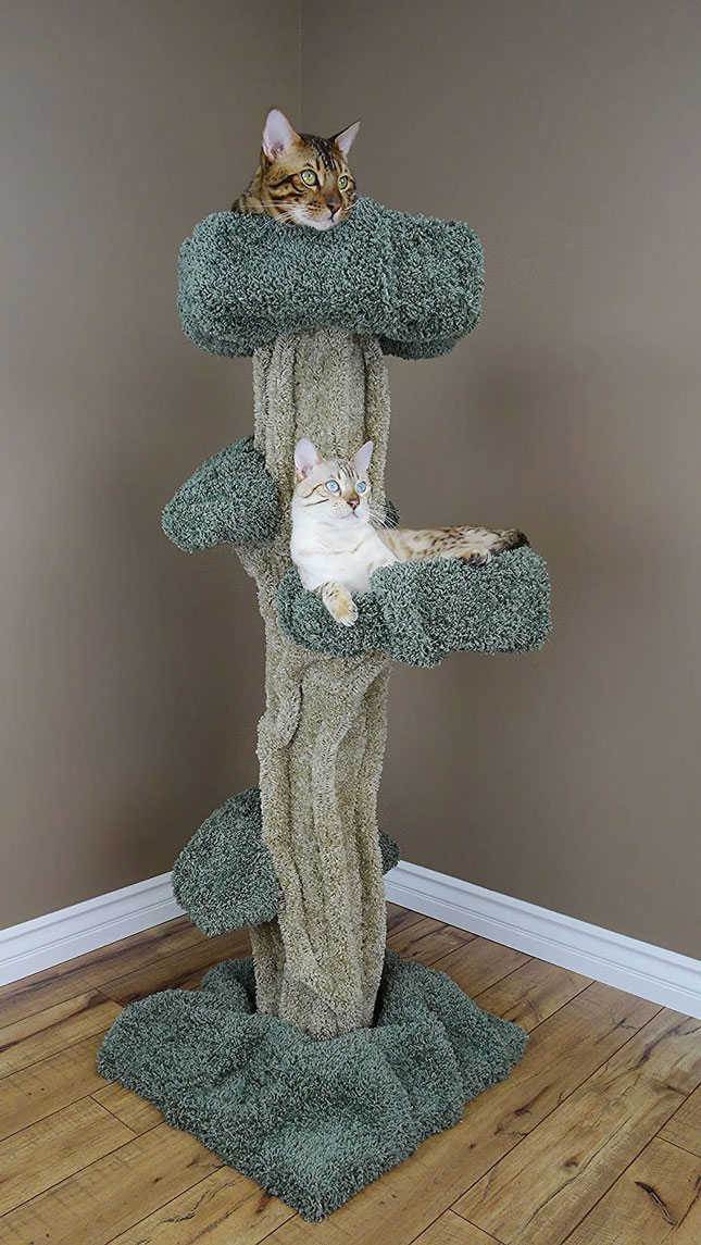 premier cat tree