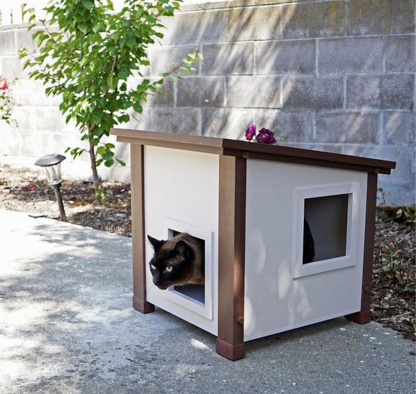 outside feral cat house