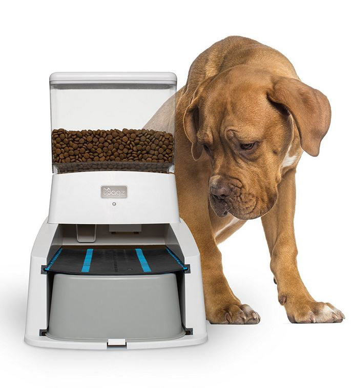 alexa pet feeder