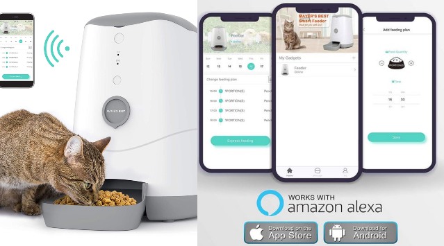 pet feeder with app