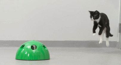 Pop N' Play Interactive Cat Toy - Slash Pets