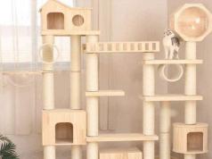 Multi-level Cat Jungle Gym