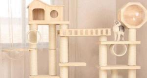 Multi-level Cat Jungle Gym