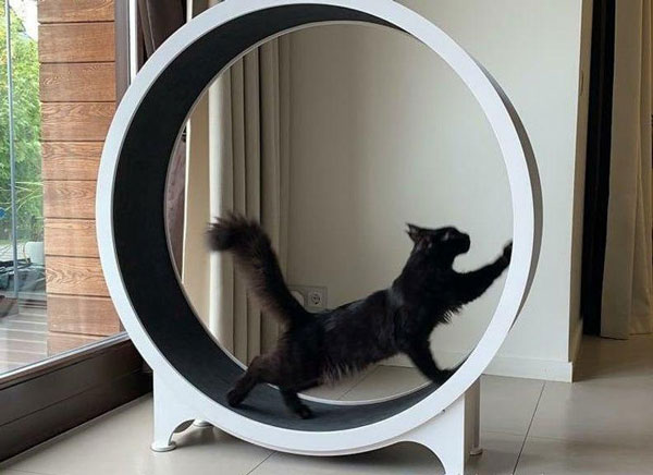 cat wheel price